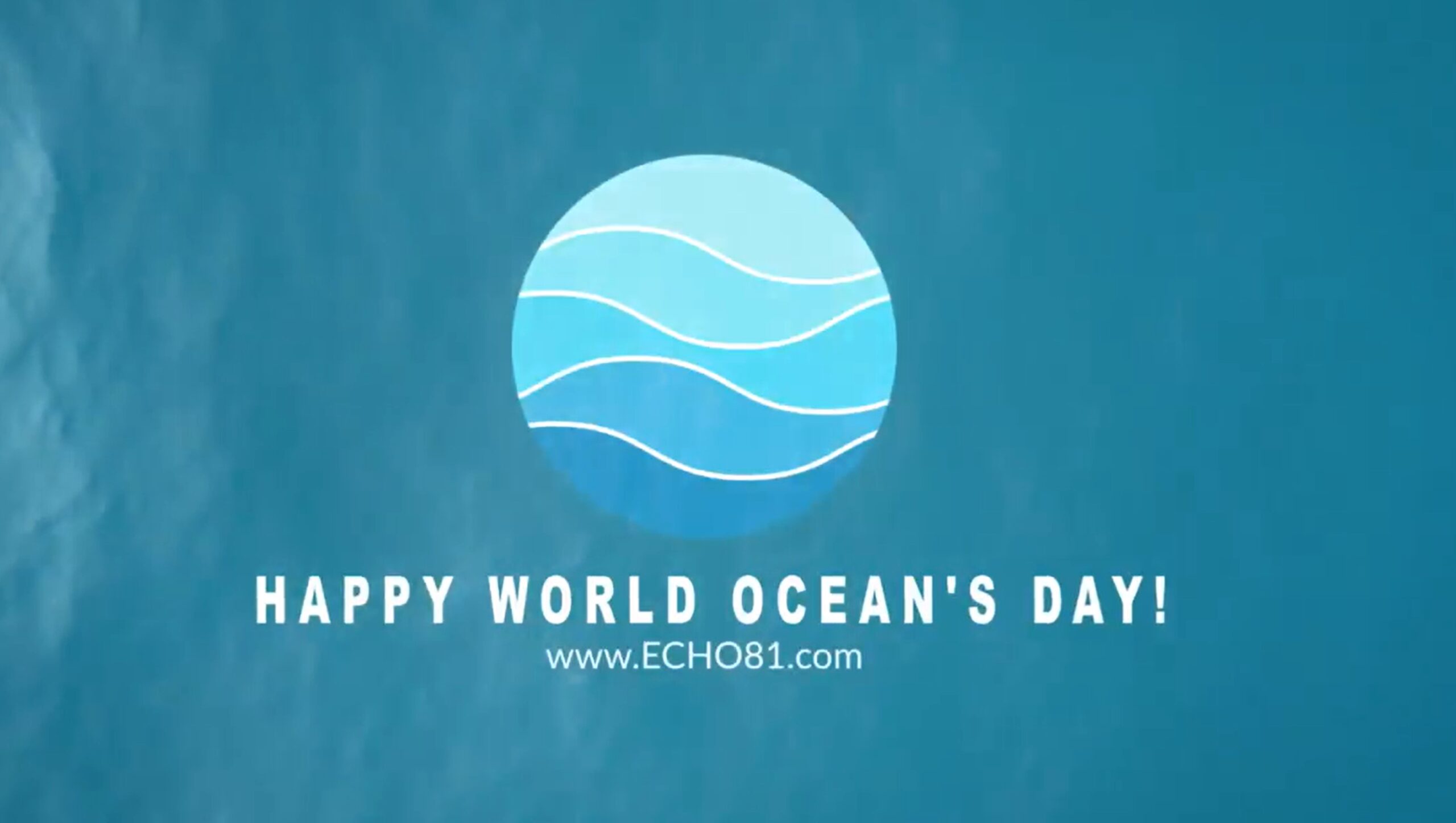 Screenshot 2023-06-21 165014