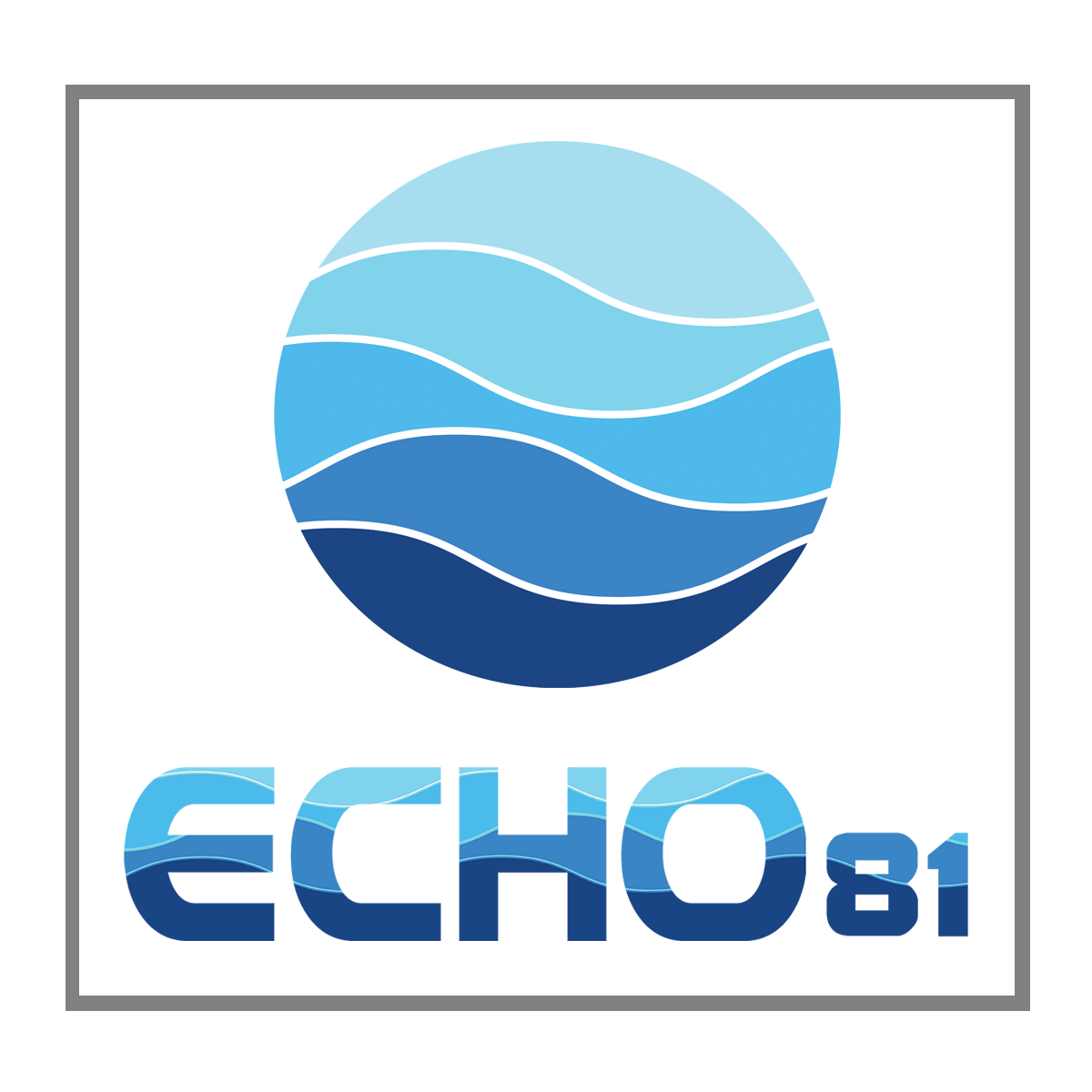 ECHO81